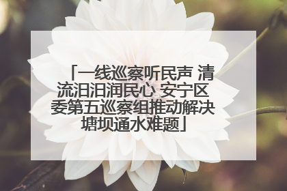 一线巡察听民声 清流汨汨润民心 安宁区委第五巡察组推动解决塘坝通水难题