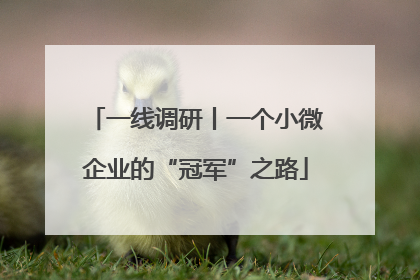 一线调研丨一个小微企业的“冠军”之路