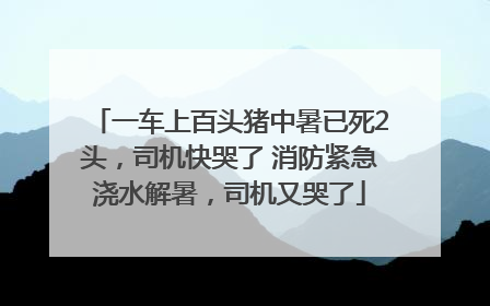 一车上百头猪中暑已死2头，司机快哭了 消防紧急浇水解暑，司机又哭了