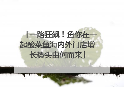 一路狂飙！鱼你在一起酸菜鱼海内外门店增长势头由何而来