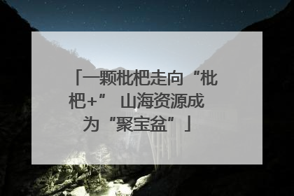 一颗枇杷走向“枇杷+” 山海资源成为“聚宝盆”