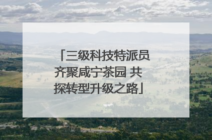 三级科技特派员齐聚咸宁茶园 共探转型升级之路