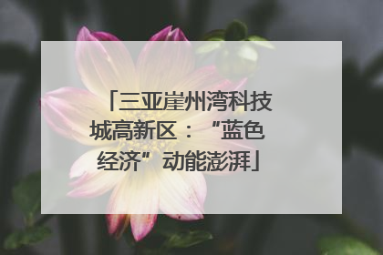三亚崖州湾科技城高新区：“蓝色经济”动能澎湃