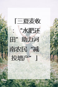三夏麦收：“水肥还田”助力河南农民“减投增产”