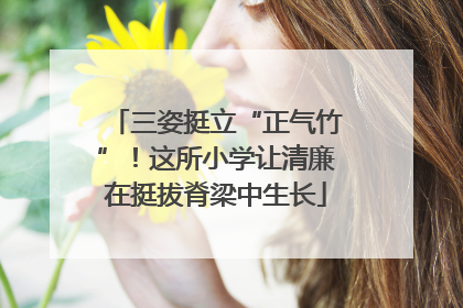 三姿挺立“正气竹”！这所小学让清廉在挺拔脊梁中生长