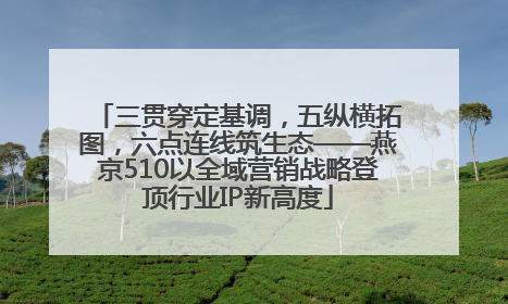 三贯穿定基调，五纵横拓图，六点连线筑生态——燕京510以全域营销战略登顶行业IP新高度