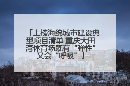 上榜海绵城市建设典型项目清单 重庆大田湾体育场既有“弹性”又会“呼吸”