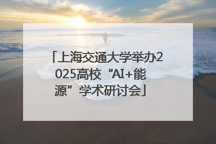 上海交通大学举办2025高校“AI+能源”学术研讨会