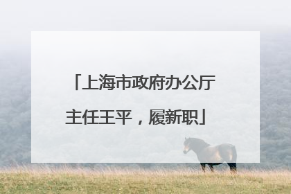 上海市政府办公厅主任王平，履新职