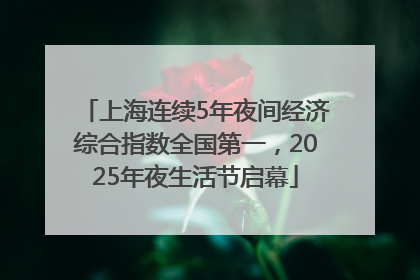 上海连续5年夜间经济综合指数全国第一，2025年夜生活节启幕