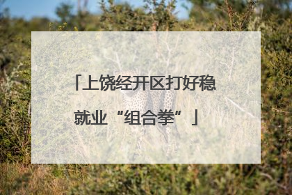 上饶经开区打好稳就业“组合拳”