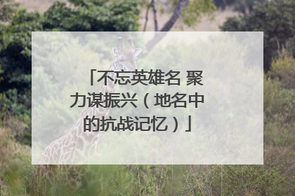 不忘英雄名 聚力谋振兴（地名中的抗战记忆）