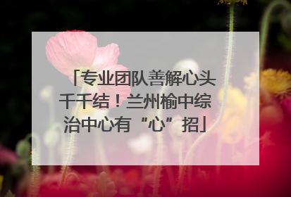专业团队善解心头千千结！兰州榆中综治中心有“心”招