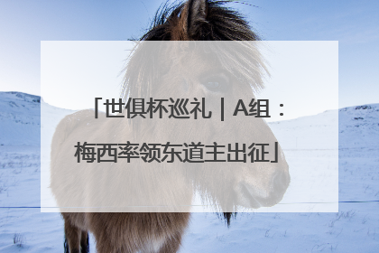 世俱杯巡礼｜A组：梅西率领东道主出征