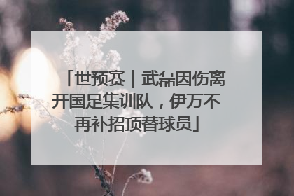 世预赛｜武磊因伤离开国足集训队，伊万不再补招顶替球员
