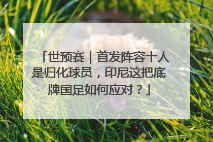 世预赛｜首发阵容十人是归化球员，印尼这把底牌国足如何应对？