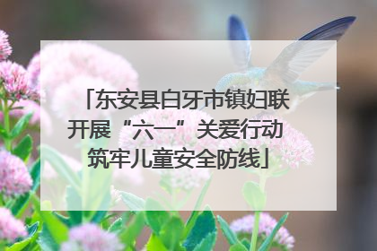 东安县白牙市镇妇联开展“六一”关爱行动 筑牢儿童安全防线