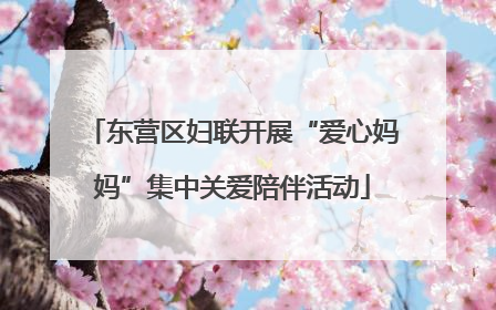 东营区妇联开展“爱心妈妈”集中关爱陪伴活动