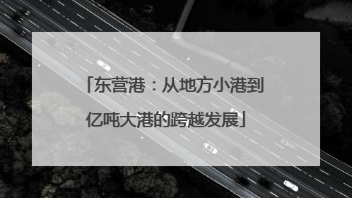 东营港：从地方小港到亿吨大港的跨越发展