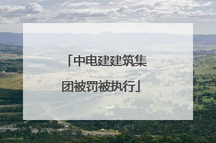 中电建建筑集团被罚被执行