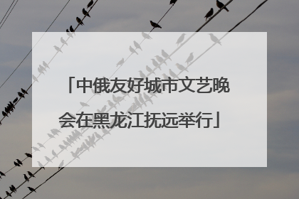 中俄友好城市文艺晚会在黑龙江抚远举行