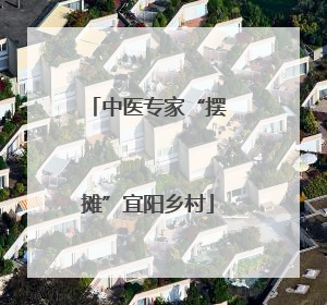 中医专家“摆摊”宜阳乡村