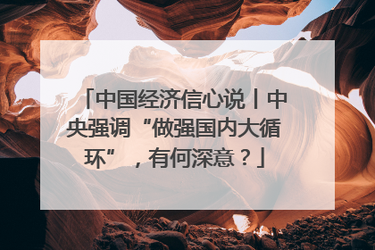 中国经济信心说丨中央强调“做强国内大循环”，有何深意？