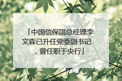中国信保副总经理李文森已升任党委副书记，曾任职于央行