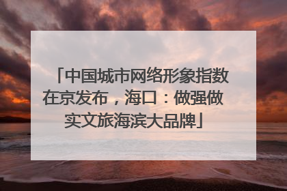 中国城市网络形象指数在京发布，海口：做强做实文旅海滨大品牌