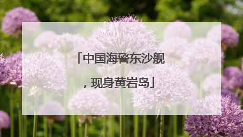 中国海警东沙舰，现身黄岩岛