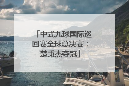 中式九球国际巡回赛全球总决赛：楚秉杰夺冠