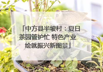 中方县半坡村：夏日茶园管护忙 特色产业绘就振兴新图景