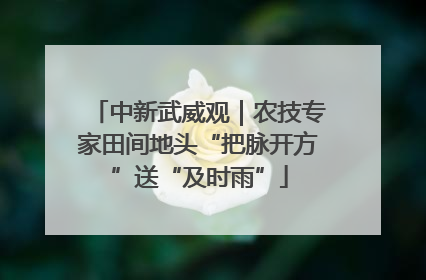 中新武威观｜农技专家田间地头“把脉开方”送“及时雨”