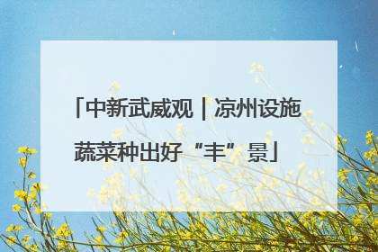 中新武威观｜凉州设施蔬菜种出好“丰”景