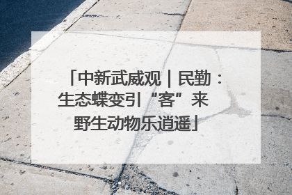 中新武威观｜民勤：生态蝶变引“客”来 野生动物乐逍遥