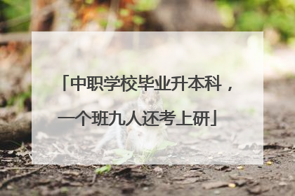 中职学校毕业升本科，一个班九人还考上研