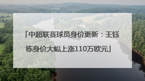 中超联赛球员身价更新：王钰栋身价大幅上涨110万欧元