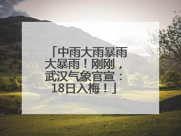 中雨大雨暴雨大暴雨！刚刚，武汉气象官宣：18日入梅！