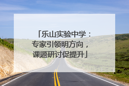 乐山实验中学：专家引领明方向，课题研讨促提升