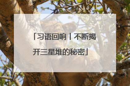 习语回响丨不断揭开三星堆的秘密