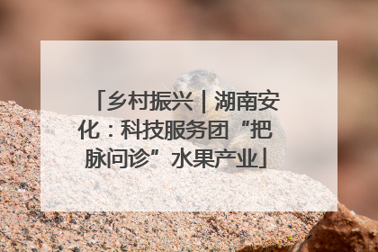乡村振兴｜湖南安化：科技服务团“把脉问诊”水果产业