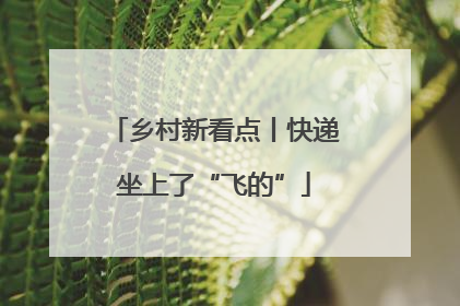 乡村新看点丨快递坐上了“飞的”