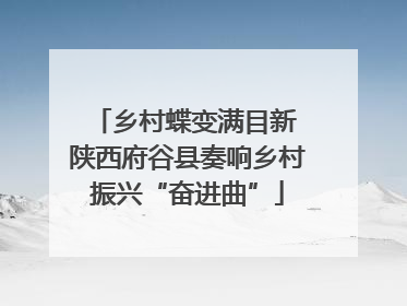乡村蝶变满目新 陕西府谷县奏响乡村振兴“奋进曲”