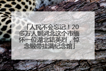 人民不会忘记！20多万人到河北这个市缅怀一位湖北籍英烈，悼念缎带挂满纪念馆