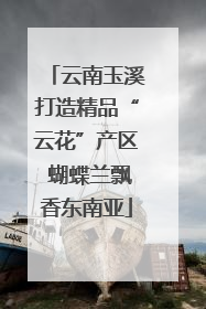 云南玉溪打造精品“云花”产区 蝴蝶兰飘香东南亚