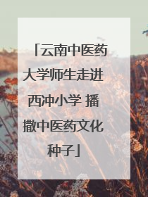 云南中医药大学师生走进西冲小学 播撒中医药文化种子
