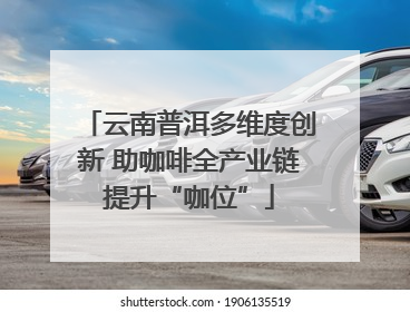 云南普洱多维度创新 助咖啡全产业链提升“咖位”