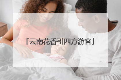 云南花香引四方游客