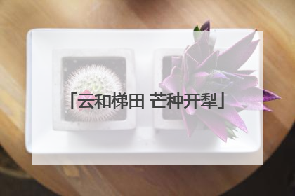云和梯田 芒种开犁