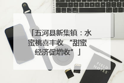 五河县新集镇：水蜜桃喜丰收 “甜蜜经济促增收”